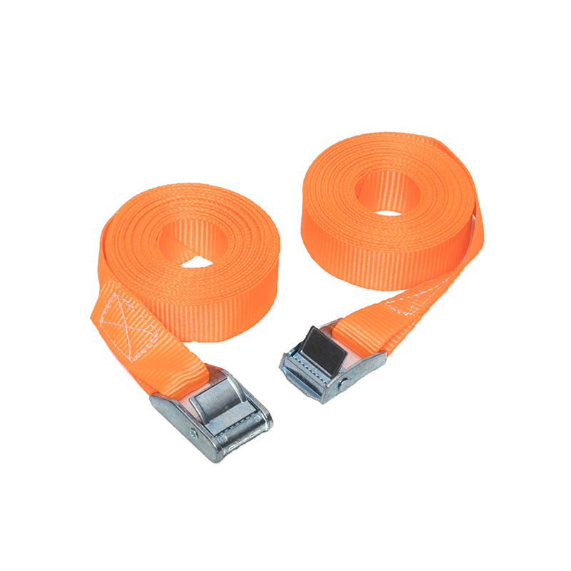 25 mm 250kg Cam Buckle buộc xuống dây đai