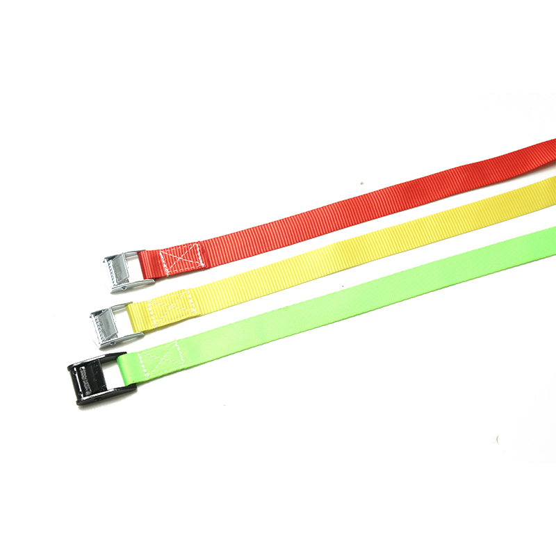 25 mm 250kg Cam Buckle buộc xuống dây đai
